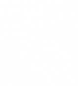 FÓNICA_conductual